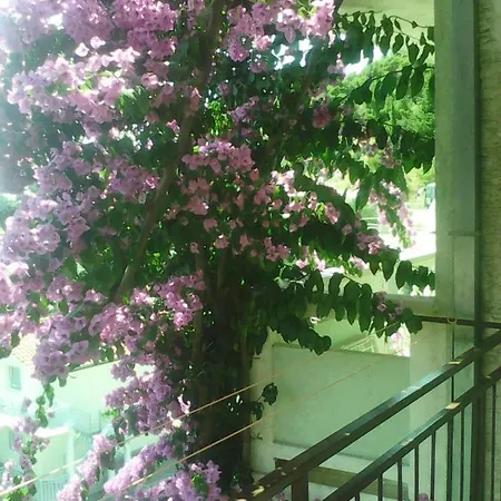 Apartmani Ivona S Pogledom Na More Podgora Exterior photo