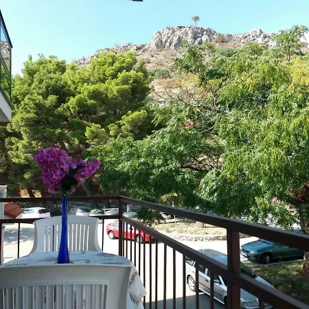 Apartmani Ivona S Pogledom Na More Podgora Exterior photo